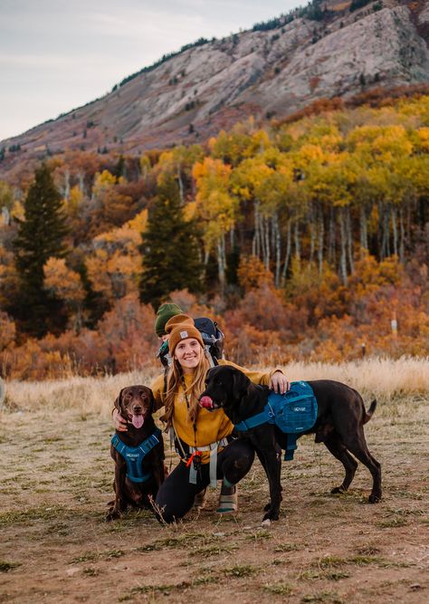 Hiking With Dog, Dog Hiking Gear, Dog Hiking, Adventure Dog, Active Dogs, Dream Ideas, Travel Supplies, Dog Mum, Dog Camping