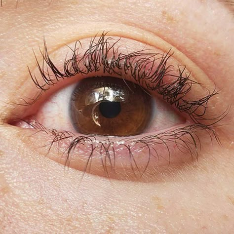 Why Is Your Lash Lift Too Curly and How to Fix it Lash Tint And Lift, Lvl Lash Lift, Lvl Lashes, Lash Perm, Lash Lifts, Facial Massage Routine, Eyelash Perm, Lash Tint, Lash Salon