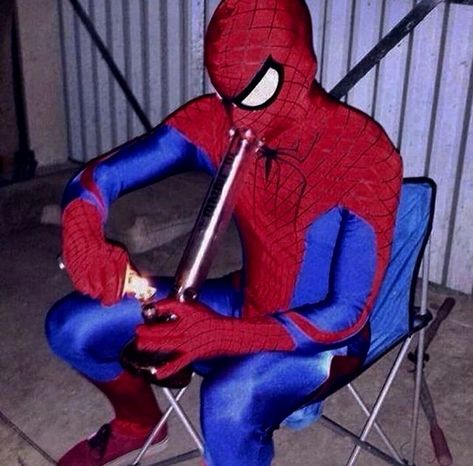 Spiderman Funny, Spiderman Pictures, Funny Profile, Puff And Pass, Funny Profile Pictures, Spiderman Art, Really Funny Pictures, Reaction Pictures, Funny Photos