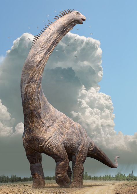 A female Alamosaurus rears her head up. From Dinosaurs In The Wild with graphics by Impossible Pictures Prehistoric Wildlife, Prehistoric Dinosaurs, Dinosaur Pictures, Dinosaur Illustration, Prehistoric World, Jurassic World Dinosaurs, Ancient Animals, Paleo Art, Extinct Animals