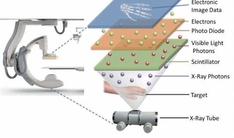 X Ray Tube, Medical Student Study, Rad Tech, Radiation Protection, Cardiology, Visible Light, Student Studying, Radiology, Medical Students