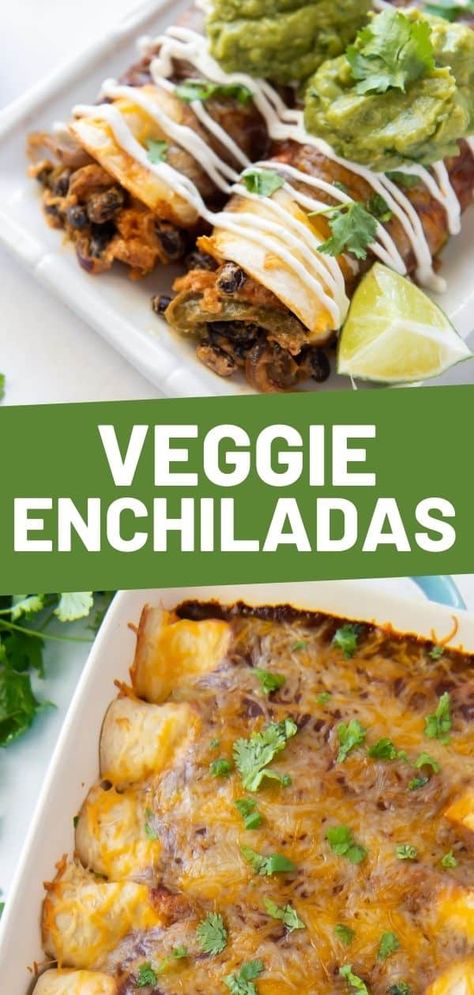 These Vegetable Enchiladas are filled with roasted veggies, cheese and homemade enchilada sauce for an easy Mexican dinner at home! Healthy Enchilada Recipe Vegetarian, Roasted Veggie Enchiladas, Roasted Vegetable Enchiladas, Vegetable Enchilada Casserole, Veg Enchiladas Vegetarian, Veggie Enchilada Recipe, Enchiladas Veggie, Roasted Vegetable Tacos, Veggie Enchilada Casserole