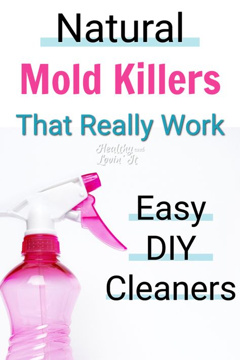 Diy Mold Cleaner, Mold Cleaning Solution, Kill Mold On Wood, Getting Rid Of Mold On Walls, Outdoor Mold And Mildew Remover Diy, How To Get Rid Of Black Mold On Walls, How To Clean Mold Off Wood, How To Get Rid Of Mold On Wood, Cleaning Mold Off Walls