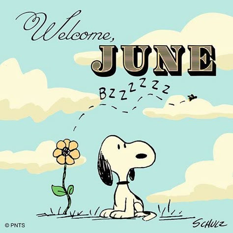 Welcome June Images, Image St Valentin, June Pictures, Welcome June, Neuer Monat, Months And Seasons, Hello June, Peanut Gang, Hello Goodbye