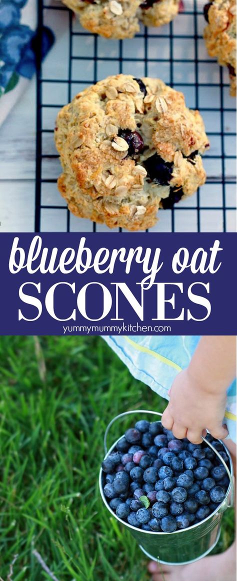 Oat Scones Recipe, Oatmeal Scones, Healthy Scones, Oat Scones, Morning Treats, Blueberry Scones Recipe, Baking Scones, Old Fashioned Oats, Blueberry Oat