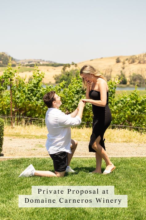 Man is on one knee, proposing to girlfriend with vineyards in the background during private proposal experience at Domaine Carneros Winery Proposal, Summer Proposal, Napa California, Sonoma Wedding, Wine Country, Wine Tasting, This Summer, Wedding Photographer, Wedding Photographers