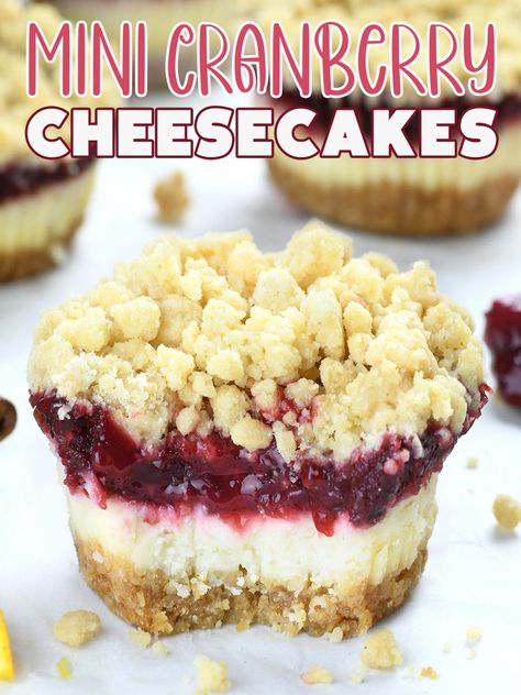 Mini Cranberry Cheesecakes - OMG Chocolate Desserts Cranberry Tarts Mini, Mini Cranberry Cheesecakes, Cranberry Cheesecake Bites, Mini Cranberry Cheesecake, Recipe With Graham Cracker Crust, Cranberry Cheesecake Recipes, Cranberry Recipes Dessert, Graham Cracker Recipes, Cranberry Dessert