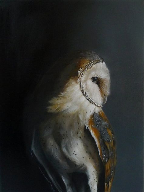 Owl Wall Painting, Barn Owl Art, Barn Owls, Owl Wall Art, Oil Painting Tutorial, Woodland Art, Owl Wall, Owl Decor, Owl Painting