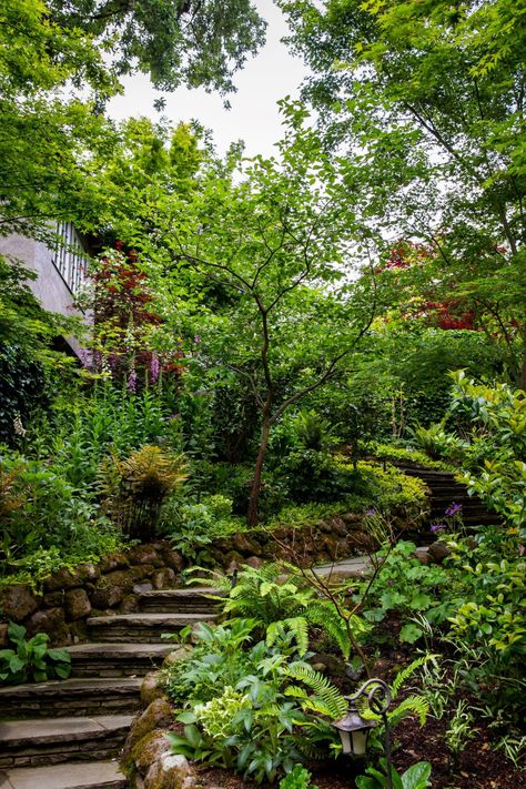 Woodland Garden Design Layout, Woodland Homestead, Woodland Yard, Forest Landscaping, Homestead Design, Garden Homestead, Courtyard Landscape, Pnw Garden, Hill Garden