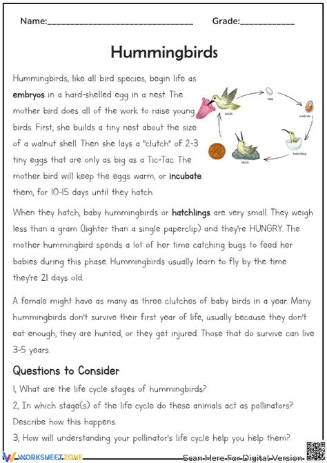 Help students understand the stages of a hummingbirds life cycle by answering all the following comprehension question. Download the Pdf and try it out! #science #scienceworksheets #livingthings #lifecycle #birdlifecycle #animalslifecycle #stages #lifecycleofabird #birds #hummingbirds #printables #worksheet #birdlifecycleforkids #readingcomprehension #reading #answerquestions #ela Bird Life Cycle, Comprehension Worksheets, Science Worksheets, Reading Comprehension Worksheets, Comprehension Questions, Life Cycle, Hummingbirds, Life Cycles, Reading Comprehension