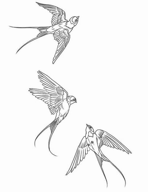 Golondrinas Tattoo, Sparrow Tattoos, Bird Design Tattoo, Swallow Tattoo Design, Swallow Bird Tattoos, Simple Line Tattoo, Bird Tattoo Back, Aztec Drawing, Dove Tattoo Design