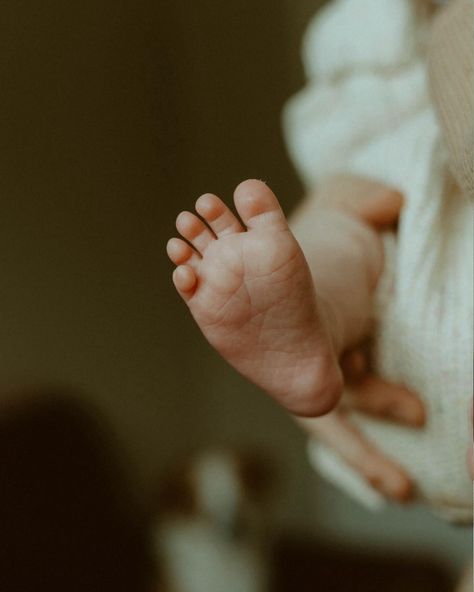 The coziest in home newborn session 💖 . . . . . Arizona photographer | lifestyle newborn | newborn photography #arizonaphotographer #azphotographer #lifestylenewborn #lifestylenewbornphotography #newbornphotography #phoenixphotographer #scottsdalephotographer #gilbertphotographer In Home Newborn Session, Super 8 Film, Photographer Lifestyle, Arizona Photographer, Lifestyle Newborn Photography, Super 8, Lifestyle Newborn, March 7, Newborn Photoshoot