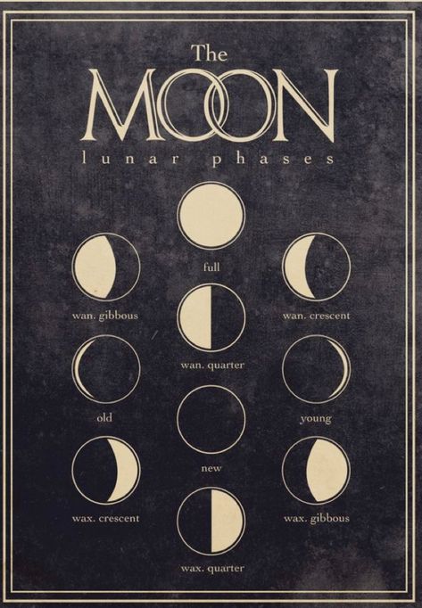 Lunar Phases, Lunar Phase, Picture Collage Wall, Photo Wall Collage, Vintage Poster Art, Art Collage Wall, Old Book, Picture Collage, Room Posters