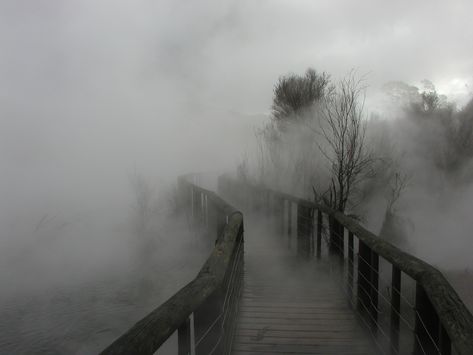 "Misty Bridge: This is a walkway over a steaming hot spring in Rotorua, New Zealand. As I started down the path, the wind whipped up and started to lift the thick steam and blow it over the curved walkway, so I snapped this shot to catch the eerie effect." Nature Aesthetic, Dark Aesthetic, Aesthetic Pictures, Antonio Mora Artwork, Mist, Les Oeuvres, Steam, Trees, Forest