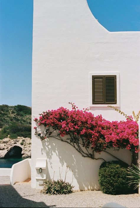 Ibiza | Analog travel photography series - Patricia Imbarus Photography Studio Ibiza Aesthetic, Ibiza Vibes, Ibiza Town, Photography Series, Adventure Photographer, Conde Nast Traveler, Photography Studio, Photo Print, Lisbon