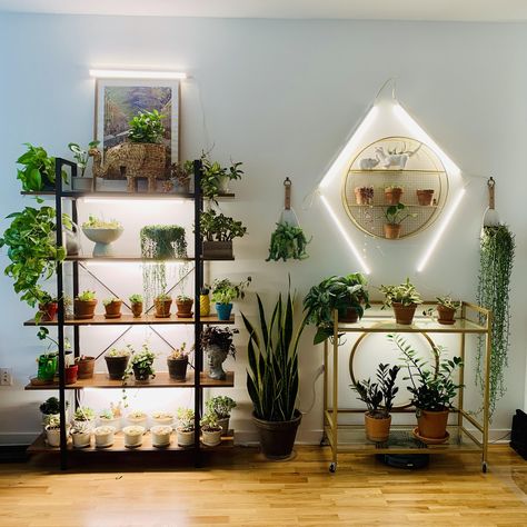 Houseplant Grow Light, Plant Room With Grow Lights, Grow Light Decor, Plant Lamp Indoor, Grow Light Aesthetic, Aesthetic Grow Light, Ivar Regal, Indoor Grow Lights, Indoor Plant Wall