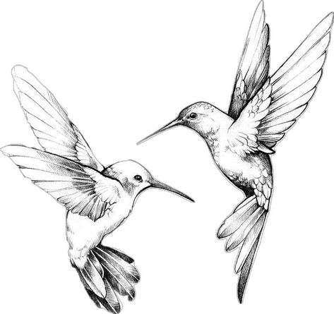 Humming Bird Drawing Realistic, General Tattoo, Drawing Realistic, Bird Drawing, Hummingbird Art, Hummingbird Tattoo, Bird Tattoo, Humming Bird, Birds Tattoo