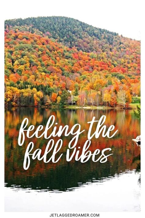 Almost Fall Quotes, Beautiful Fall Quotes, Autumn Fall Quotes, Fall Is Here Quotes, Quotes For Fall Season, Leaf Captions For Instagram, Fall Couple Quotes, Autumn Quotes Funny, Fall Funny Quotes