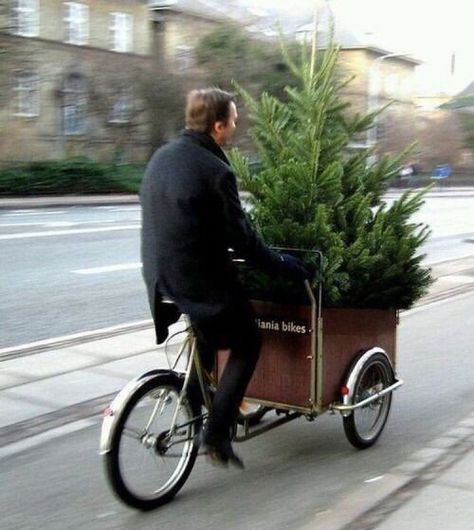 Photo Riding A Bike, Noel Christmas, Merry Little Christmas, Christmas Love, Christmas Joy, Christmas Inspiration, Yule, Christmas Cheer, Christmas Magic