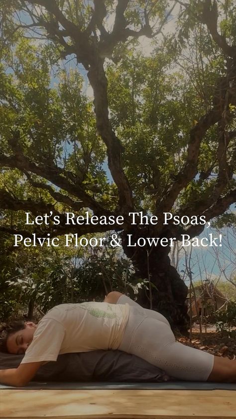 Maria Margolies Yoga | I’ve been obsessing with these cat-cow variation for pelvic floor release. Have you tried it? Comment YES 🙌🏼 or NO but will 😃! Remember... | Instagram Yoga Pelvic Floor, Pelvic Floor Release, Exercises To Repair Pelvic Floor, Healing Core And Pelvic Floor, Release Pelvic Floor Muscles, Slow Yoga, Pelvic Floor Stretches Pregnancy, Pelvic Region, Cat Cow