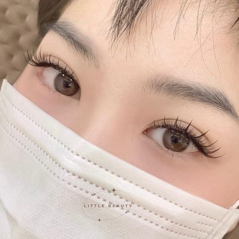 Asian Lash Extensions Styles, Japanese Eyelash Extensions, Eyelash Extensions For Small Eyes, Lash Extensions On Hooded Eyes, Korean Lash Extensions, Lash Extensions Hooded Eyes, Asian Eyelash Extensions, Korean Lashes, Korean Eyelash Extension