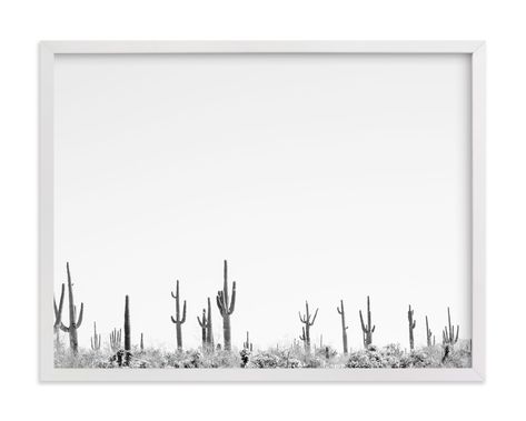 "Carnegie Gigantic" - Grownup Open Edition Non-custom Art Print by Denise Crew in beautiful frame options and a variety of sizes. Cactus Photography, Desert Art, Custom Art Print, Art Black And White, Minimalist Photography, Mirror Wall Art, Contemporary Wall Art, Contemporary Wall, Indie Artist