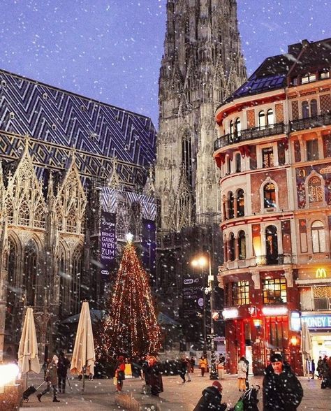 Let it snow, let it snow, let it snow! ❄️🎄 📍 Vienna 📷 @vienna_austria/ IG Vienna Christmas, Christmas In Europe, Christmas Town, Vienna Austria, Christmas Market, Let It Snow, Time Of The Year, Wonderful Time, Vienna