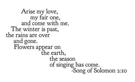 Song Of Solomon Quotes, Songs Of Solomon, Falling In Love Songs, Undeserved Grace, Book Of Solomon, Literary Love Quotes, I Carry Your Heart, Dark Nights, Beautiful Quote