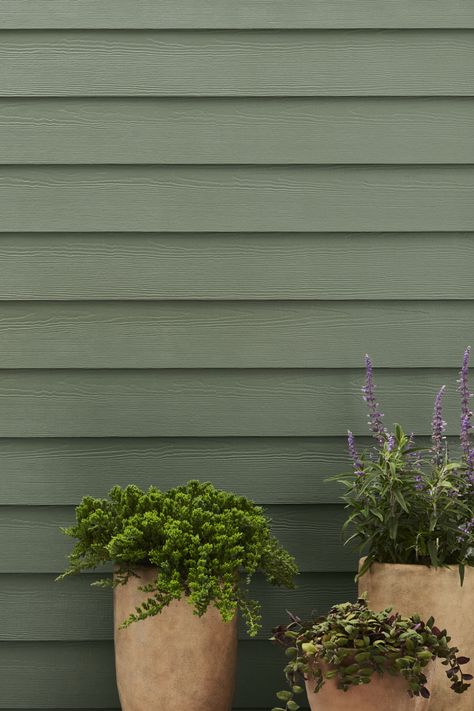 House Siding & Backer Board | James Hardie James Hardie Dried Eucalyptus, Hardie Board House, Hardie Board Siding Colors, Hardy Board Siding, Hardie Board Siding, Siding Styles, Exterior House Siding, Hardie Board, James Hardie Siding