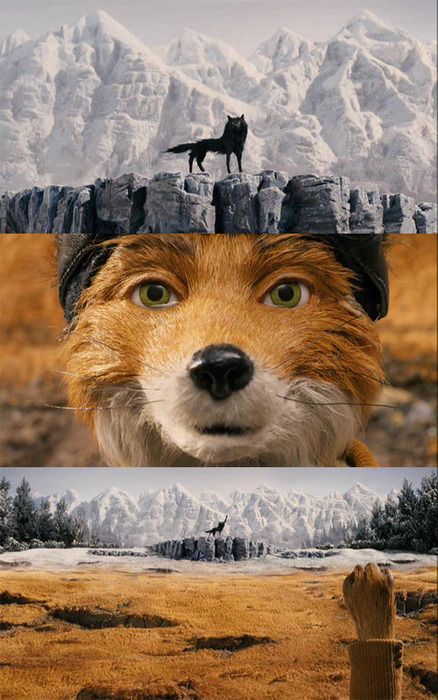 #wesanderson #fantasticmisterfox The Fantastic Mr Fox Art, Fantastic Mr Fox Aesthetic Wallpaper, Wes Anderson Cinematography, Fantastic Mr Fox Wallpaper, Fantastic Mr Fox Wolf, Fantastic Fox, Mister Fantastic, Wes Anderson Movies, Wes Anderson Films