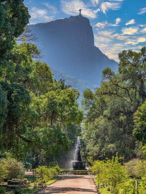 Jardim Botânico do Rio de Janeiro | Rio de Janeiro, Brasil. … | Flickr Christ The Redeemer Statue, Christ The Redeemer, My Photos, Capital City, Places Around The World, Rio De Janeiro, Travel Destinations, No Instagram, Brazil