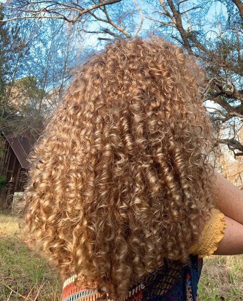 Almost Natural Hair Color, Honey Blonde Hair Mixed Girl, Curly Hair Dye Ideas Honey Blonde, Light Golden Brown Curly Hair, Long Blonde Curls Natural, Brown People With Blonde Hair, Honey Blonde On Curly Hair, Caramel Blonde Hair Curly, Honey Blond Curls