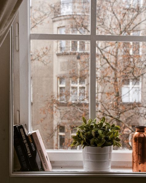 #window #decoration #decor #bookshelf #books #windowdecoration #homedecorideas #homemade #houseplants Decorate Window Sill, Plant Window Sill, Window Sill Decor, Decor Bookshelf, Industrial Windows, Plant Window, Window Seal, Window Decoration, Bedroom Inspo