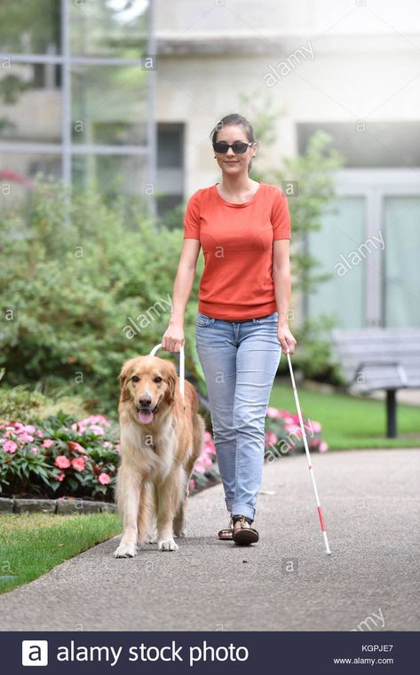 Download this stock image: Blind woman walking in park with dog assitance - KGPJE7 from Alamy's library of millions of high resolution stock photos, illustrations and vectors. Blind Woman, Modern Myth, Blind Girl, Dog Poses, Woman Walking, Guide Dog, Photographs Of People, Poses Reference, Human Poses Reference