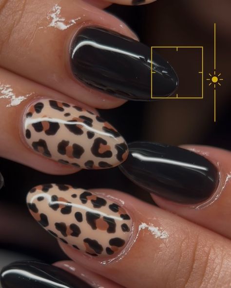 🐆🖤 #asthetic #astheticnails #cheetah #cheetahnails #cheetahprint #gelx Cheetah Nails Almond Shape, Black And Cheetah Print Nails, Cheetah Print Nails, Cheetah Nails, Leopard Nails, Easy Nail Art, Fall Nails, Trendy Nails, Almond Nails