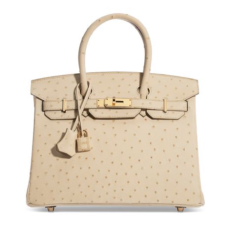 Hermès handbags — What every collector needs to know | Christie's Moth Balls, Ostrich Bag, Miranda Priestly, Bag Lock, Birkin Handbags, Hermes Kelly Bag, Limited Edition Bag, Drawing Bag, Cartier Panthere