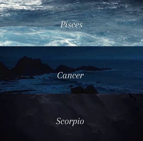 Scorpio Moon Sign, Pisces Sun Sign, Capricorn Aesthetic, Pisces Personality, Zodiac Signs Chart, Different Zodiac Signs, Astrology Pisces, Element Water, Virgo Moon