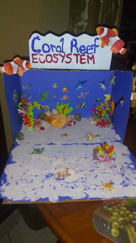 Coral Reef Diorama, Ecosystems Diorama, Coral Reef Project, Coral Reef Craft, Ecosystem Project, Habitat Diorama, School Projects Ideas, Ocean Diorama, Coral Reef Ecosystem