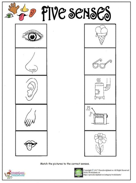 Five Senses Kindergarten, Debating Topics, 5 Senses Preschool, 5 Senses Worksheet, Five Senses Worksheet, Five Senses Preschool, 5 Senses Activities, Kindergarten Alphabet, Senses Preschool