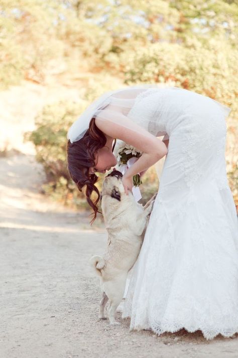 Pug Wedding, Dog Wedding Outfits, Pugs And Kisses, Wedding Picture Poses, Pug Mom, Wedding Pets, A Pug, Pugs Funny, Romantic Bride