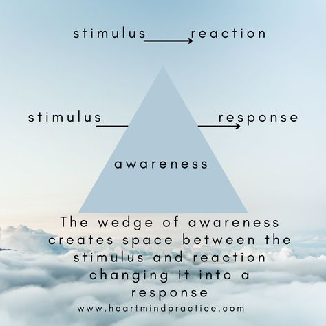 The wedge of awareness creates space between the stimulus and reaction changing it into a response Not Everything Needs A Response, Between Stimulus And Response There Is A Space, Best Response Is No Response, The Best Response Is No Response, Everything Doesn’t Need A Response, Stimulus And Response, Learn History, Loud Noises, Self Awareness