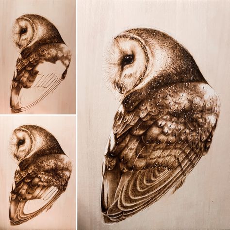 Wood Burned Barn Owl piece work in progress. This is what the piece looked like as I was finishing it up. The wings really bring this beautiful guy to life! Owl Wood Burning, Hobby Ideas, Wood Burning Crafts, Carving Art, Wood Burning Art, Wood Burner, Wood Carving Art, The Wings, Barn Owl