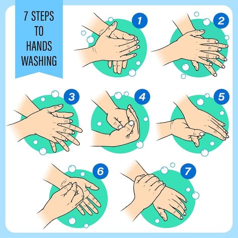 7 steps to washing hands hand sketch sho... | Premium Vector #Freepik #vector #dirty-hands #hand-hygiene #hygiene #clean-hands Hand Washing Steps, Hand Hygiene Posters, Hand Washing Poster, Health And Safety Poster, Medical Wallpaper, Cartoon Butterfly, Washing Hands, How To Prevent Cavities, Hand Hygiene