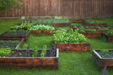 This is so easy. Raised Garden Bed Diy, Garden Bed Diy, Heating A Greenhouse, Vegetable Harvest, Succession Planting, Pool Water Features, Herb Gardens, Crop Rotation, Bed Diy