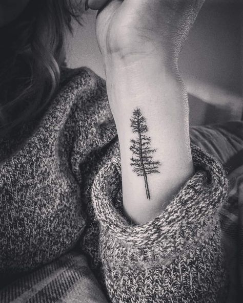 My new pinetree tattoo 🖤 Wrist Tree Tattoo, Pine Tattoo, Pine Tree Tattoo, Tattoos Mandala, Camera Tattoo, Forest Tattoos, Tree Tattoo Designs, Sweet Tattoos, Wrist Tattoos For Women