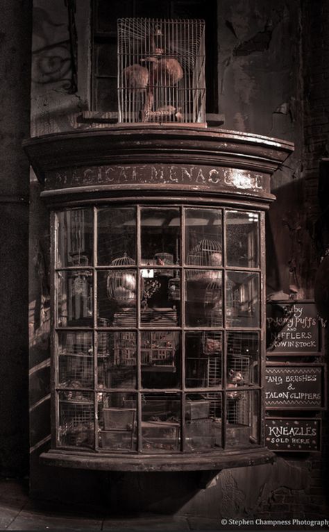 The Magical Menagerie is a shop in Diagon Alley where Hogwarts students can buy their pets and pet supplies. Harry Potter Interior, Diagon Alley Shops, Magical Menagerie, Harry Potter Pets, Albus Severus Potter, Harry Potter Room Decor, 3d Modeling Tutorial, Harry Potter Decor, Medieval Houses