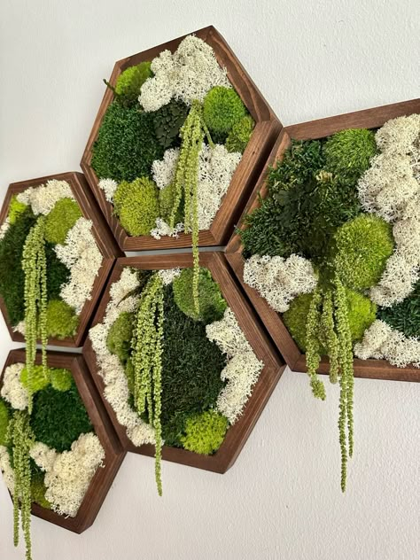 Moss Wall Art Decor Handmade Wood Hexagon Single Set to - Etsy Sheet Moss, Wood Hexagon, Lichen Moss, Reindeer Moss, Moss Wall Art, Moss Art, Preserved Moss, Moss Wall, Decoration Inspiration