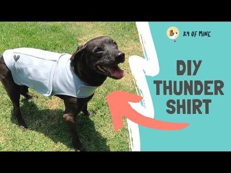 Thunder Jacket For Dogs Diy, Thundershirt For Dogs, Thundershirt For Dogs Pattern, Dog Thunder Shirt Diy, Dog Spay Recovery Shirt Diy, Thunder Jacket For Dogs, Thunder Shirt For Dogs, Shirts For Dogs, Dog Coat Pattern