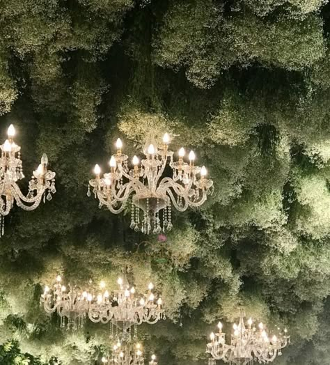 Beautiful Flower Garden, Photo Corner, Wedding Ceiling, Wedding Planning Decor, Boda Mexicana, Outdoor Indian Wedding, Chandelier Decor, Ethereal Wedding, Wedding Decor Style