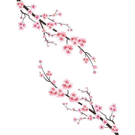 Cherry blossom with watercolor Sakura flower. Japanese Cherry blossom vector. Cherry blossom branch with pink Sakura. Watercolor cherry flower illustration. Sakura flower branch vector. Cherry Blossom Tattoo Shoulder, Cherry Tree Tattoos, Sakura Watercolor, Cherry Blossom Vector, Cherry Blossom Tree Tattoo, Cherry Blossom Drawing, Blossom Tree Tattoo, Flower Japanese, Easy Acrylic Painting Ideas